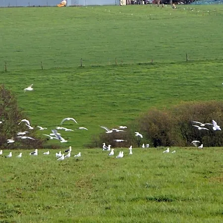 D'hotes La Basse Gougeonniere