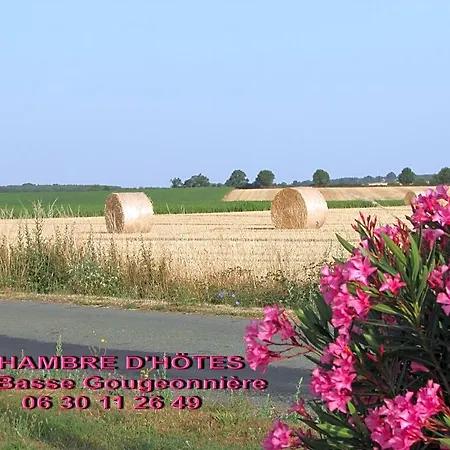 D'hotes La Basse Gougeonniere Bed and Breakfast
