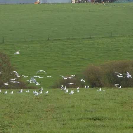 فندق مبيت وإفطار D'hotes La Basse Gougeonniere Neuvy-en-Mauges