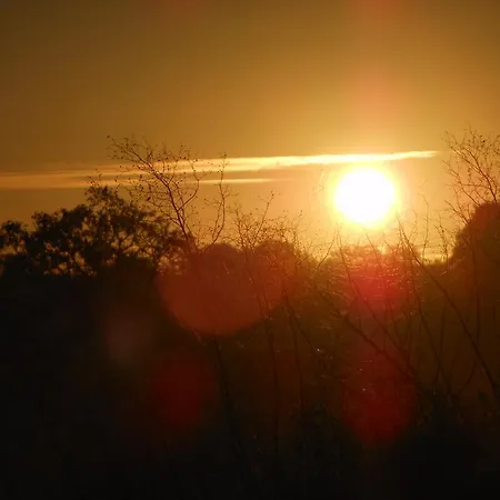 D'hotes La Basse Gougeonniere فندق مبيت وإفطار Neuvy-en-Mauges