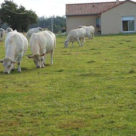 D'hotes La Basse Gougeonniere 3* Neuvy-en-Mauges