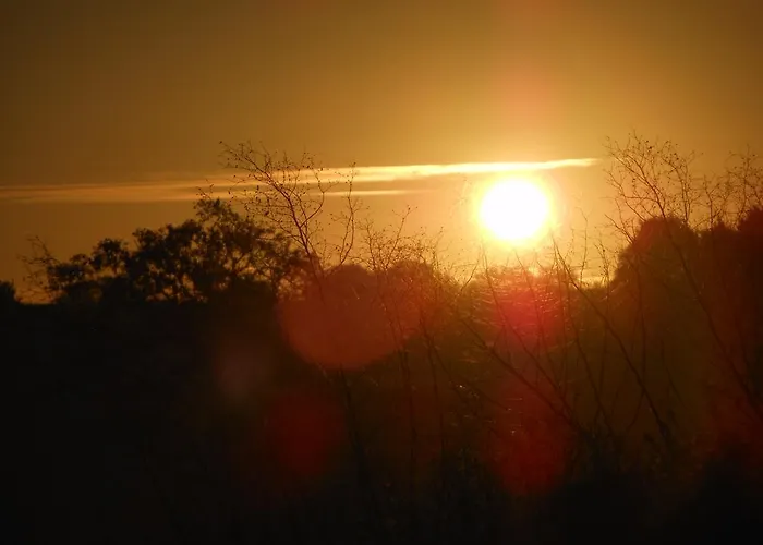 D'hotes La Basse Gougeonniere Panzió Neuvy-en-Mauges